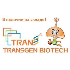 Реагенты TransGen Biotech со склада!